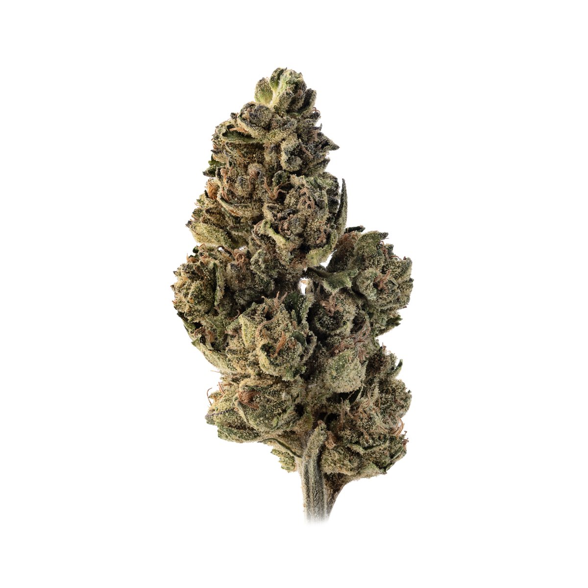 SFV OG (7G) - Image 2
