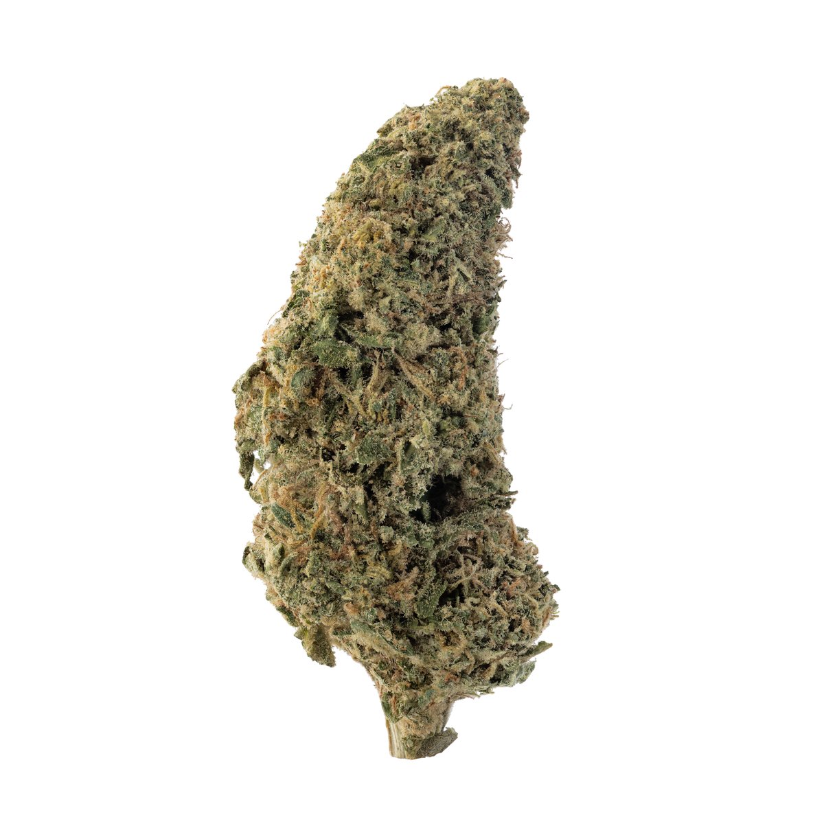 Oakland Piff (7G) - Image 2