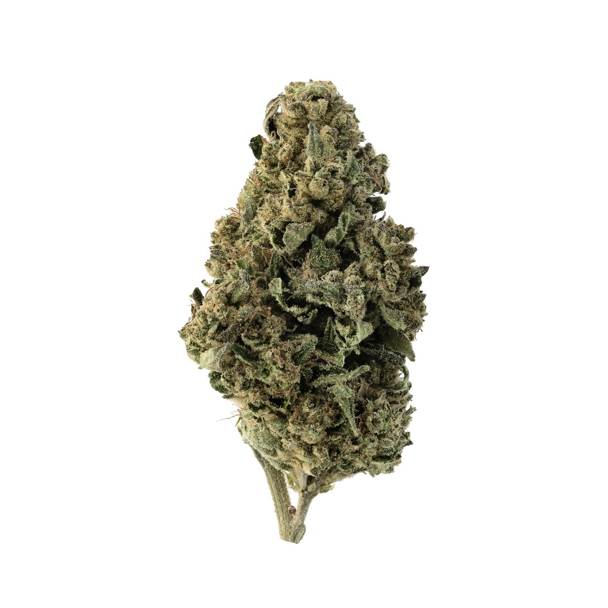Strawberry Pop (7G) - Image 2